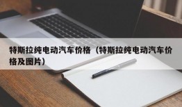 特斯拉纯电动汽车价格（特斯拉纯电动汽车价格及图片）