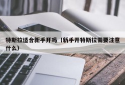 特斯拉适合新手开吗（新手开特斯拉需要注意什么）