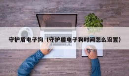 守护盾电子狗（守护盾电子狗时间怎么设置）