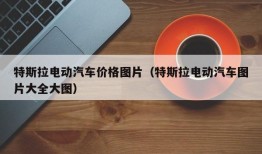 特斯拉电动汽车价格图片（特斯拉电动汽车图片大全大图）