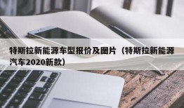 特斯拉新能源车型报价及图片（特斯拉新能源汽车2020新款）