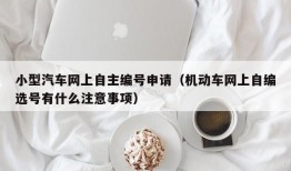 小型汽车网上自主编号申请（机动车网上自编选号有什么注意事项）