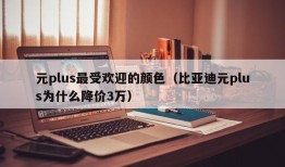 元plus最受欢迎的颜色（比亚迪元plus为什么降价3万）