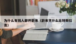 为什么有钱人都开蔚来（蔚来凭什么比特斯拉贵）