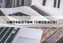 小鹏汽车能活下去吗（小鹏还能活几年）