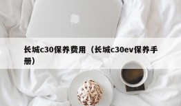 长城c30保养费用（长城c30ev保养手册）