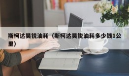 斯柯达昊锐油耗（斯柯达昊锐油耗多少钱1公里）