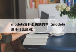 modely算什么级别的车（modely属于什么级别）