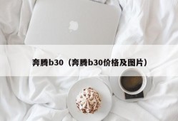 奔腾b30（奔腾b30价格及图片）