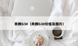 奔腾b30（奔腾b30价格及图片）