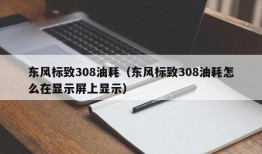 东风标致308油耗（东风标致308油耗怎么在显示屏上显示）