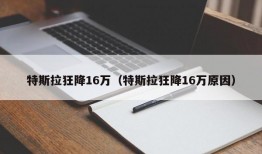 特斯拉狂降16万（特斯拉狂降16万原因）