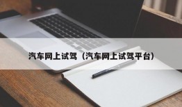 汽车网上试驾（汽车网上试驾平台）