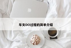 车文DO过程的简单介绍