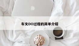 车文DO过程的简单介绍