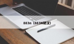 883n（883N硬汉）