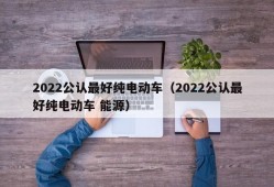 2022公认最好纯电动车（2022公认最好纯电动车 能源）