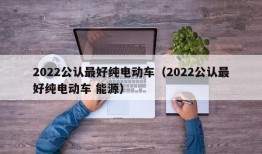 2022公认最好纯电动车（2022公认最好纯电动车 能源）