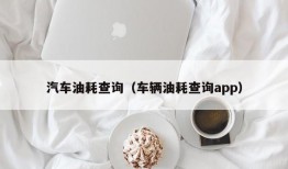 汽车油耗查询（车辆油耗查询app）