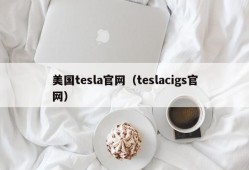 美国tesla官网（teslacigs官网）