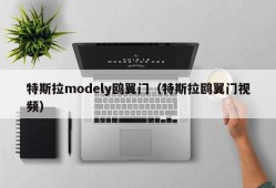 特斯拉modely鸥翼门（特斯拉鸥翼门视频）