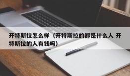 开特斯拉怎么样（开特斯拉的都是什么人 开特斯拉的人有钱吗）