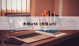 大切srt8（大切 srt）