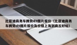 比亚迪商务车腾势d9图片报价（比亚迪商务车腾势d9图片报价及价格上海到商丘好帖）