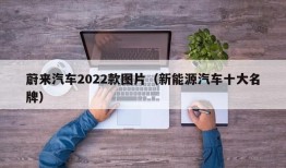 蔚来汽车2022款图片（新能源汽车十大名牌）