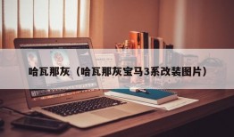 哈瓦那灰（哈瓦那灰宝马3系改装图片）