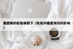 麋鹿戴的轮胎被取下（轮胎对麋鹿测试的影响）