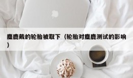 麋鹿戴的轮胎被取下（轮胎对麋鹿测试的影响）