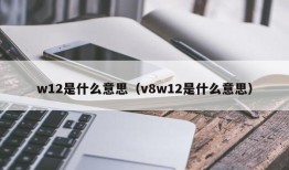 w12是什么意思（v8w12是什么意思）