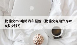 比德文m8电动汽车报价（比德文电动汽车m8多少钱?）