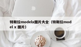 特斯拉modelx图片大全（特斯拉model x 图片）