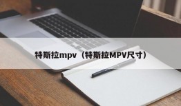 特斯拉mpv（特斯拉MPV尺寸）