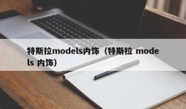 特斯拉models内饰（特斯拉 models 内饰）