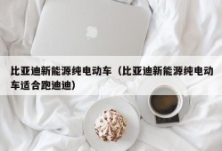 比亚迪新能源纯电动车（比亚迪新能源纯电动车适合跑迪迪）