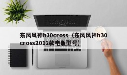 东风风神h30cross（东风风神h30cross2012款电瓶型号）