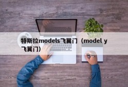 特斯拉models飞翼门（model y飞翼门）