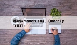 特斯拉models飞翼门（model y飞翼门）