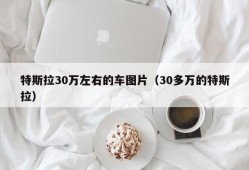 特斯拉30万左右的车图片（30多万的特斯拉）