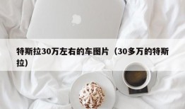 特斯拉30万左右的车图片（30多万的特斯拉）