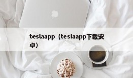 teslaapp（teslaapp下载安卓）