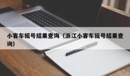 小客车摇号结果查询（浙江小客车摇号结果查询）