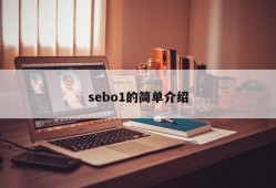 sebo1的简单介绍