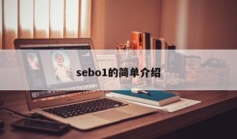 sebo1的简单介绍