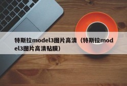 特斯拉model3图片高清（特斯拉model3图片高清贴膜）