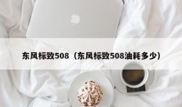 东风标致508（东风标致508油耗多少）