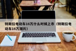 特斯拉电动车16万什么时候上市（特斯拉电动车16万图片）